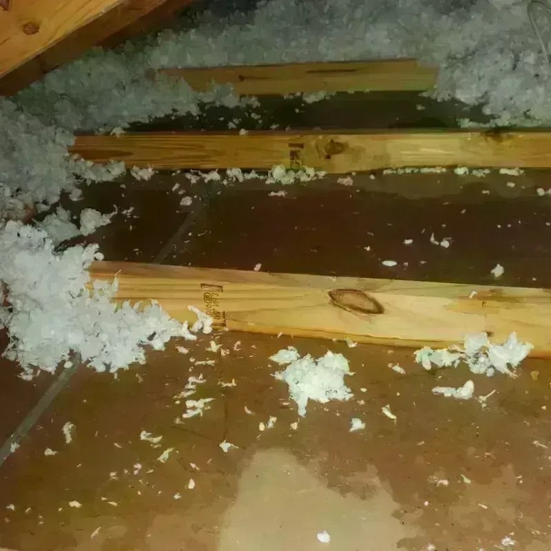 Attic Water Damage in Long Island City, NY